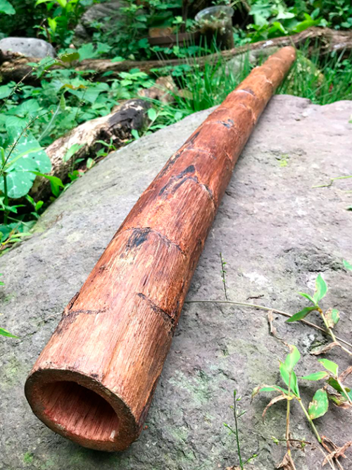 Didgeridoo